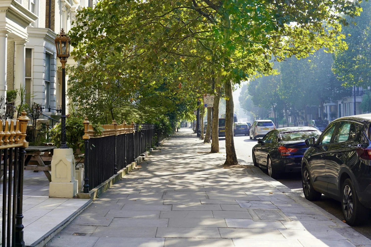 A sunlit, tree-lined London street with period homes